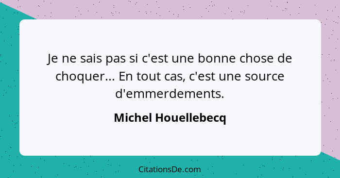 Je ne sais pas si c'est une bonne chose de choquer... En tout cas, c'est une source d'emmerdements.... - Michel Houellebecq