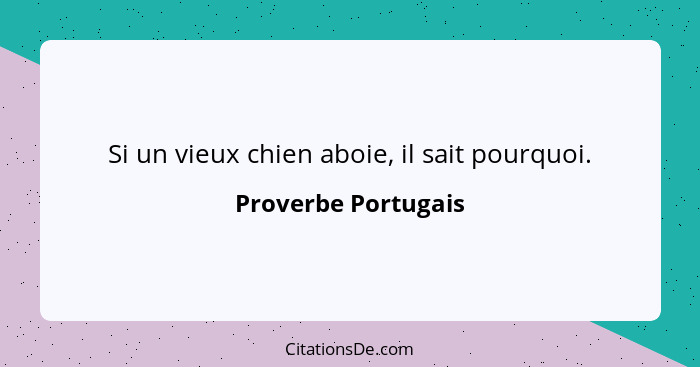 Si un vieux chien aboie, il sait pourquoi.... - Proverbe Portugais