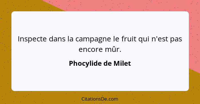 Inspecte dans la campagne le fruit qui n'est pas encore mûr.... - Phocylide de Milet