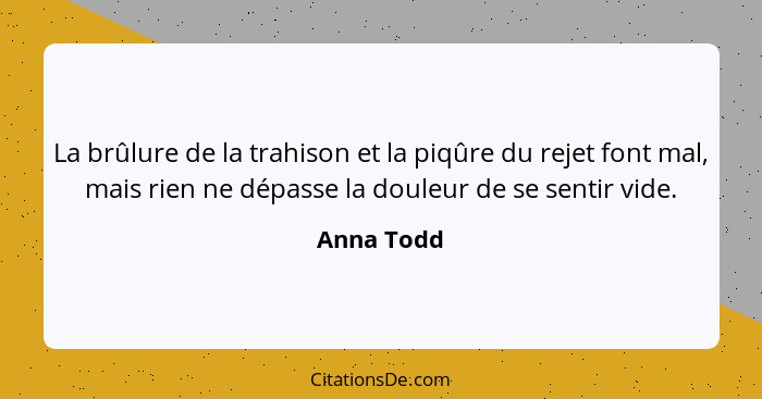 La brûlure de la trahison et la piqûre du rejet font mal, mais rien ne dépasse la douleur de se sentir vide.... - Anna Todd