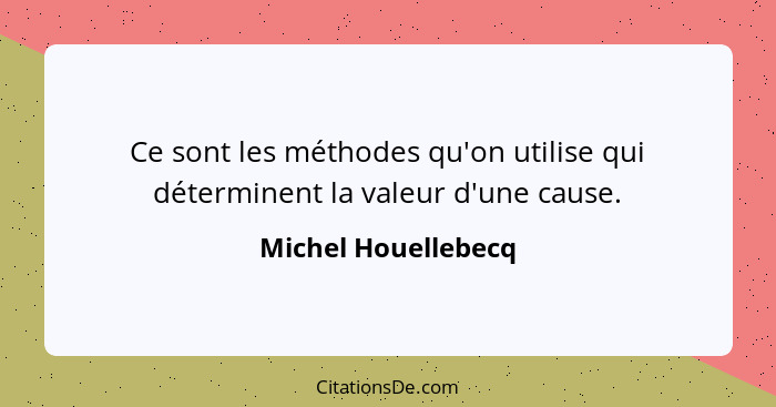 Ce sont les méthodes qu'on utilise qui déterminent la valeur d'une cause.... - Michel Houellebecq