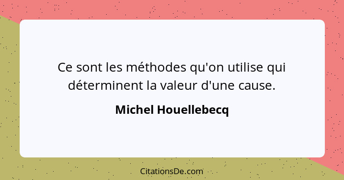 Ce sont les méthodes qu'on utilise qui déterminent la valeur d'une cause.... - Michel Houellebecq