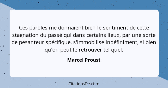 Ces paroles me donnaient bien le sentiment de cette stagnation du passé qui dans certains lieux, par une sorte de pesanteur spécifique... - Marcel Proust