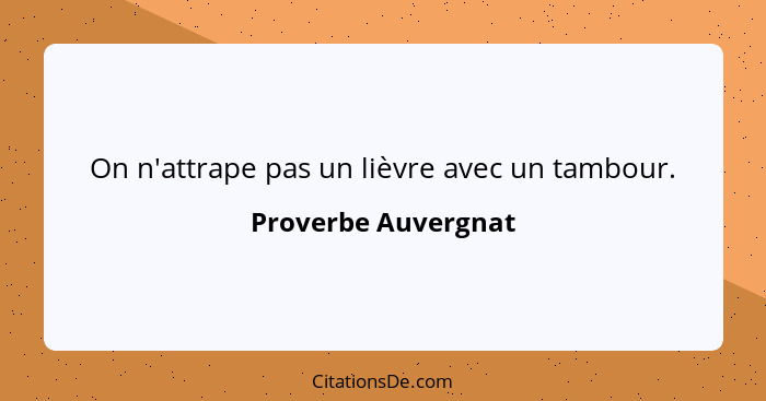 On n'attrape pas un lièvre avec un tambour.... - Proverbe Auvergnat