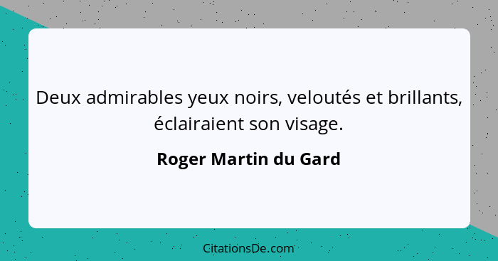 Deux admirables yeux noirs, veloutés et brillants, éclairaient son visage.... - Roger Martin du Gard