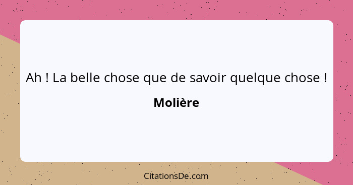 Ah ! La belle chose que de savoir quelque chose !... - Molière