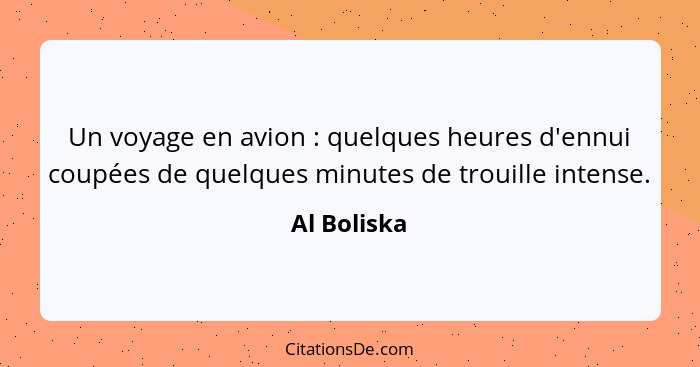 Un voyage en avion : quelques heures d'ennui coupées de quelques minutes de trouille intense.... - Al Boliska