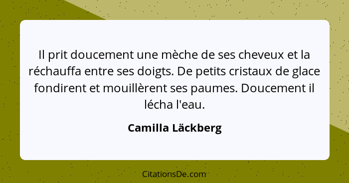 Il prit doucement une mèche de ses cheveux et la réchauffa entre ses doigts. De petits cristaux de glace fondirent et mouillèrent s... - Camilla Läckberg