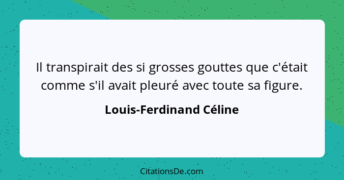 Il transpirait des si grosses gouttes que c'était comme s'il avait pleuré avec toute sa figure.... - Louis-Ferdinand Céline