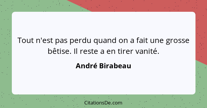 Tout n'est pas perdu quand on a fait une grosse bêtise. Il reste a en tirer vanité.... - André Birabeau