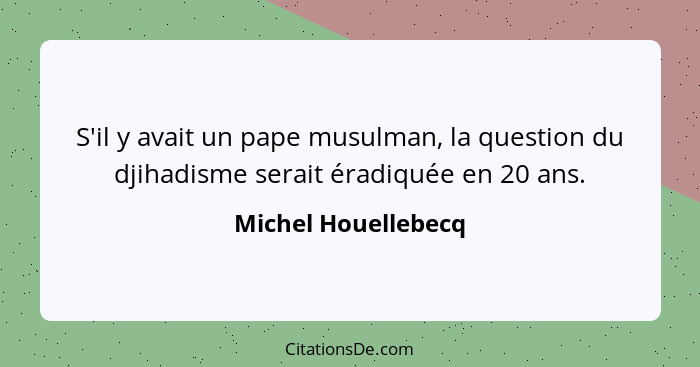 S'il y avait un pape musulman, la question du djihadisme serait éradiquée en 20 ans.... - Michel Houellebecq