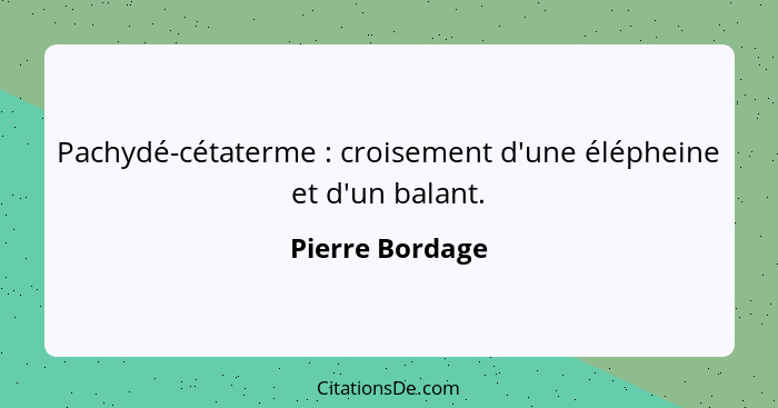 Pachydé-cétaterme : croisement d'une élépheine et d'un balant.... - Pierre Bordage