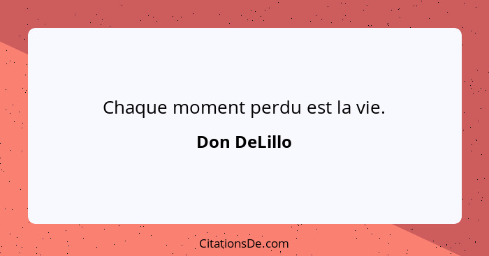 Chaque moment perdu est la vie.... - Don DeLillo