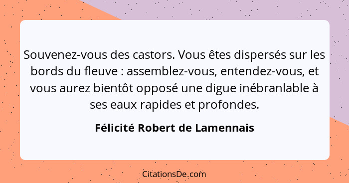 Souvenez-vous des castors. Vous êtes dispersés sur les bords du fleuve : assemblez-vous, entendez-vous, et vous au... - Félicité Robert de Lamennais