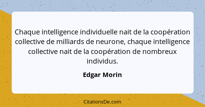 Chaque intelligence individuelle nait de la coopération collective de milliards de neurone, chaque intelligence collective nait de la co... - Edgar Morin