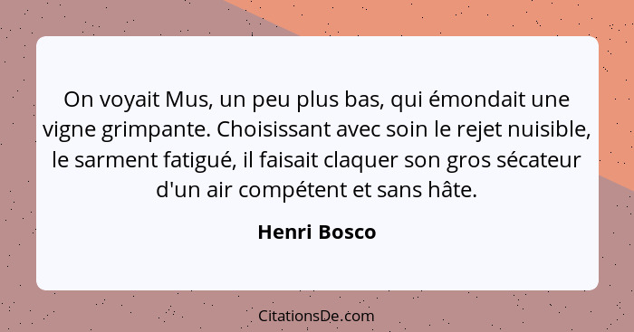 On voyait Mus, un peu plus bas, qui émondait une vigne grimpante. Choisissant avec soin le rejet nuisible, le sarment fatigué, il faisai... - Henri Bosco