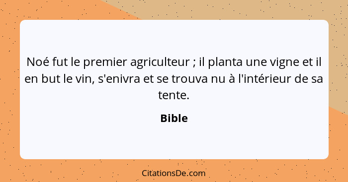 Noé fut le premier agriculteur ; il planta une vigne et il en but le vin, s'enivra et se trouva nu à l'intérieur de sa tente.... - Bible