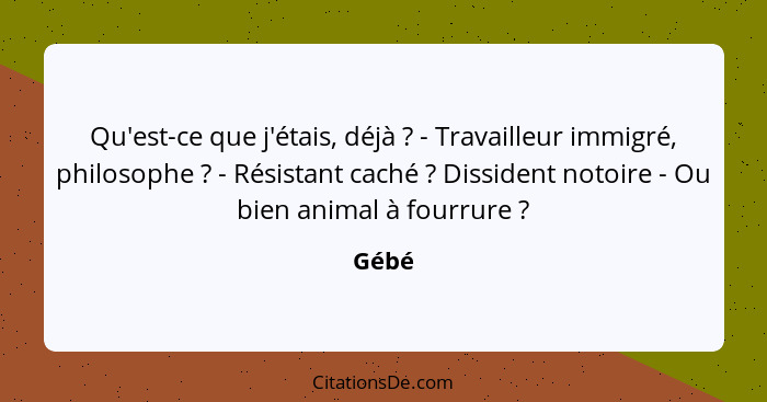 Qu'est-ce que j'étais, déjà ? - Travailleur immigré, philosophe ? - Résistant caché ? Dissident notoire - Ou bien animal à fourr... - Gébé