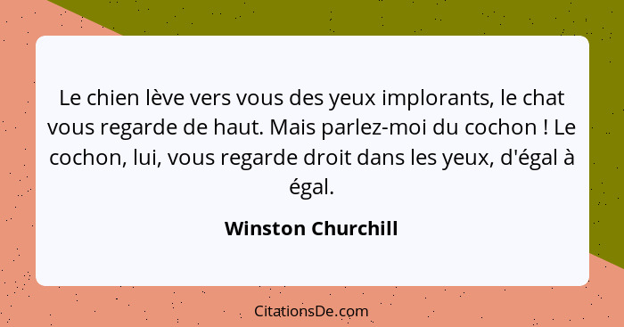 Le chien lève vers vous des yeux implorants, le chat vous regarde de haut. Mais parlez-moi du cochon ! Le cochon, lui, vous r... - Winston Churchill