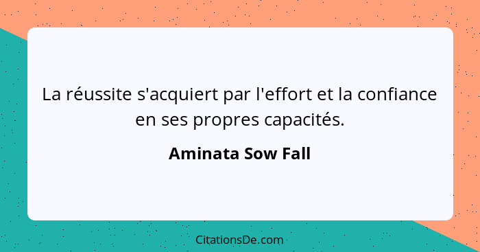 La réussite s'acquiert par l'effort et la confiance en ses propres capacités.... - Aminata Sow Fall