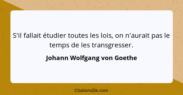 S'il fallait étudier toutes les lois, on n'aurait pas le temps de les transgresser.... - Johann Wolfgang von Goethe
