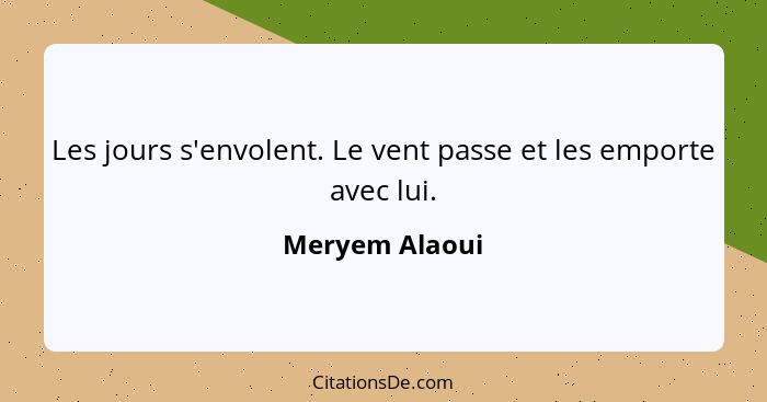 Les jours s'envolent. Le vent passe et les emporte avec lui.... - Meryem Alaoui