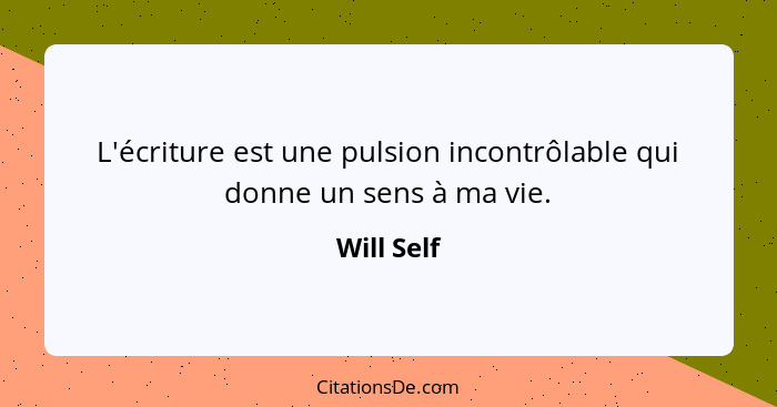 L'écriture est une pulsion incontrôlable qui donne un sens à ma vie.... - Will Self