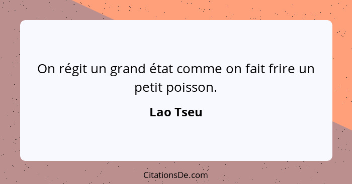 On régit un grand état comme on fait frire un petit poisson.... - Lao Tseu