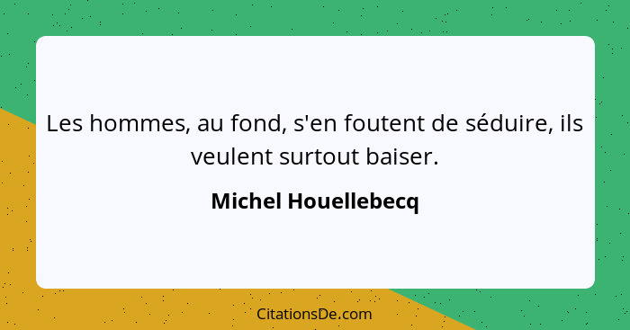 Les hommes, au fond, s'en foutent de séduire, ils veulent surtout baiser.... - Michel Houellebecq