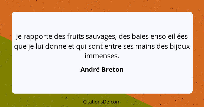 Je rapporte des fruits sauvages, des baies ensoleillées que je lui donne et qui sont entre ses mains des bijoux immenses.... - André Breton