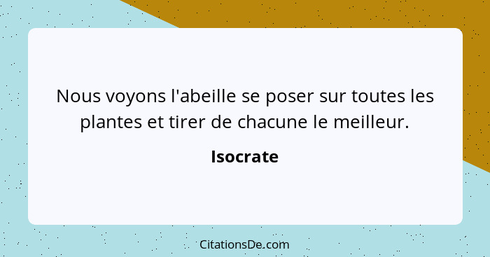 Nous voyons l'abeille se poser sur toutes les plantes et tirer de chacune le meilleur.... - Isocrate