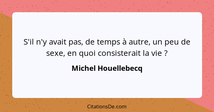 S'il n'y avait pas, de temps à autre, un peu de sexe, en quoi consisterait la vie ?... - Michel Houellebecq