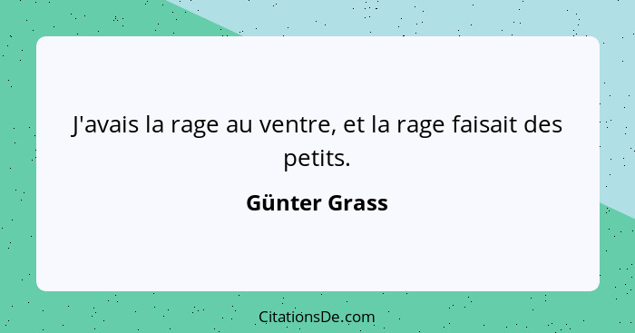 J'avais la rage au ventre, et la rage faisait des petits.... - Günter Grass