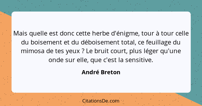 Mais quelle est donc cette herbe d'énigme, tour à tour celle du boisement et du déboisement total, ce feuillage du mimosa de tes yeux&n... - André Breton