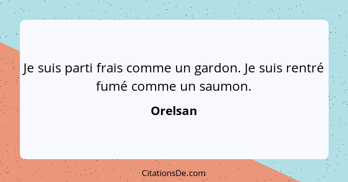 Je suis parti frais comme un gardon. Je suis rentré fumé comme un saumon.... - Orelsan