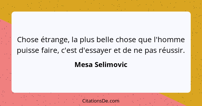 Chose étrange, la plus belle chose que l'homme puisse faire, c'est d'essayer et de ne pas réussir.... - Mesa Selimovic