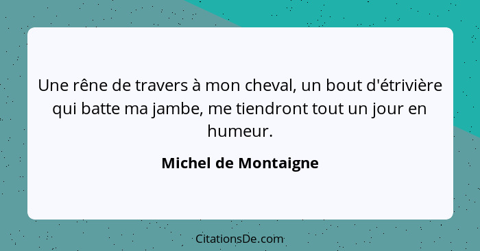 Une rêne de travers à mon cheval, un bout d'étrivière qui batte ma jambe, me tiendront tout un jour en humeur.... - Michel de Montaigne