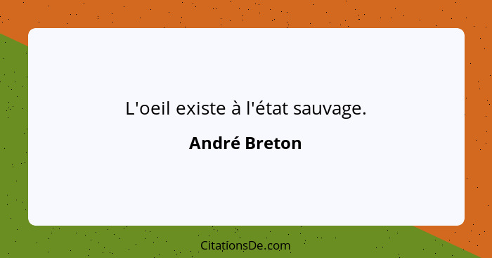 L'oeil existe à l'état sauvage.... - André Breton