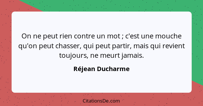 On ne peut rien contre un mot ; c'est une mouche qu'on peut chasser, qui peut partir, mais qui revient toujours, ne meurt jamai... - Réjean Ducharme