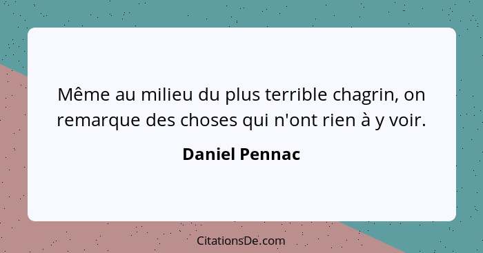 Même au milieu du plus terrible chagrin, on remarque des choses qui n'ont rien à y voir.... - Daniel Pennac