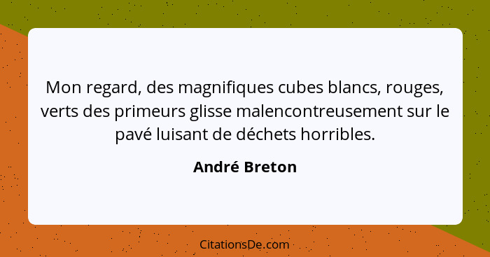 Mon regard, des magnifiques cubes blancs, rouges, verts des primeurs glisse malencontreusement sur le pavé luisant de déchets horribles... - André Breton