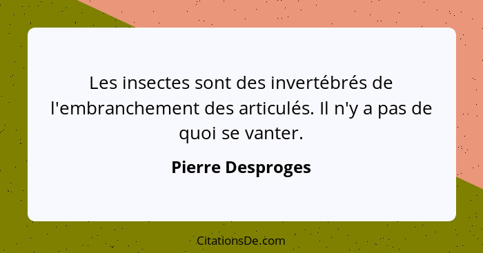 Les insectes sont des invertébrés de l'embranchement des articulés. Il n'y a pas de quoi se vanter.... - Pierre Desproges