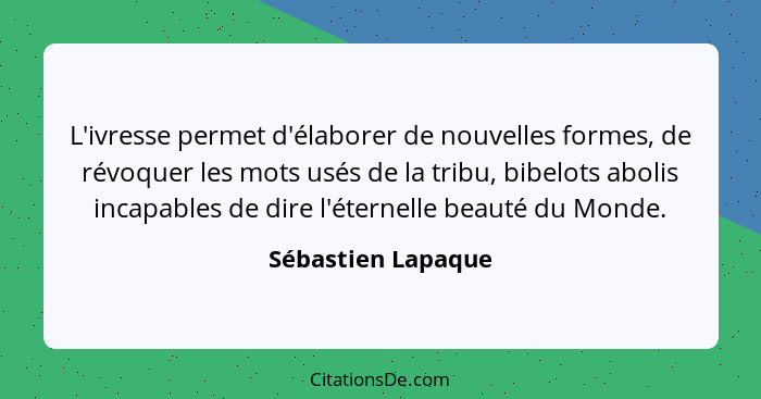 L'ivresse permet d'élaborer de nouvelles formes, de révoquer les mots usés de la tribu, bibelots abolis incapables de dire l'étern... - Sébastien Lapaque