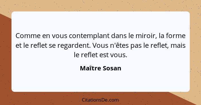 Comme en vous contemplant dans le miroir, la forme et le reflet se regardent. Vous n'êtes pas le reflet, mais le reflet est vous.... - Maître Sosan