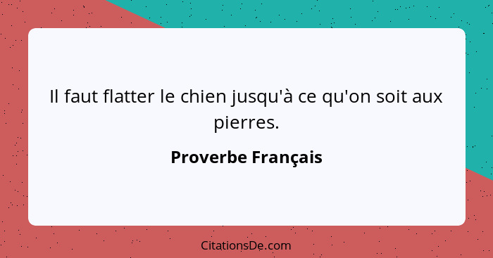 Il faut flatter le chien jusqu'à ce qu'on soit aux pierres.... - Proverbe Français