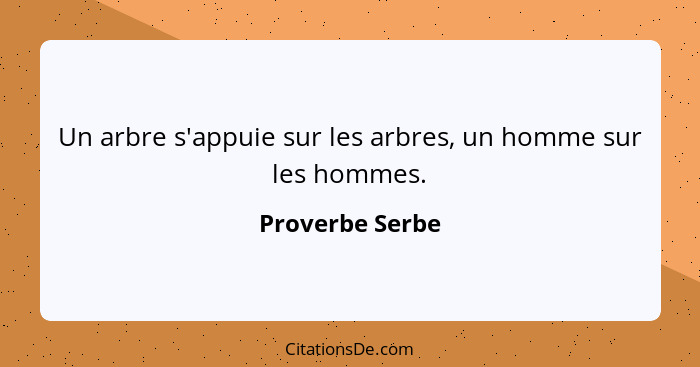 Un arbre s'appuie sur les arbres, un homme sur les hommes.... - Proverbe Serbe