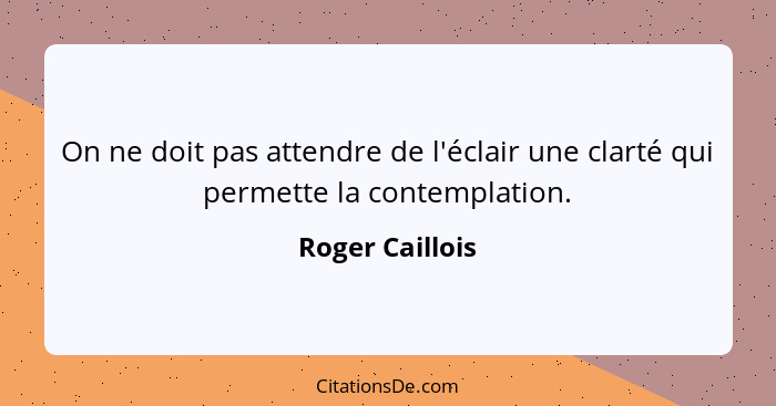 On ne doit pas attendre de l'éclair une clarté qui permette la contemplation.... - Roger Caillois