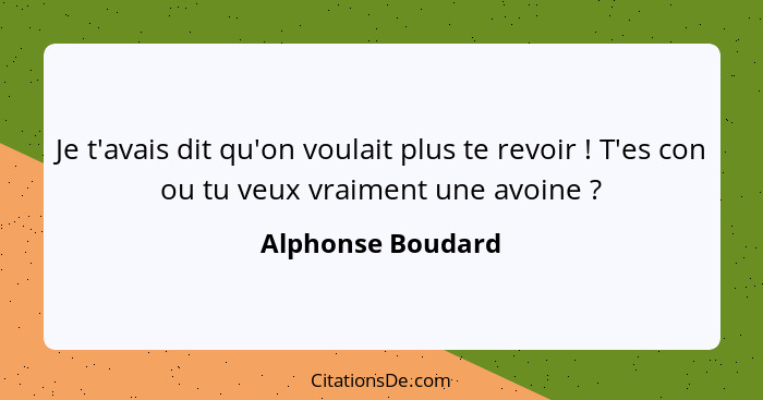 Je t'avais dit qu'on voulait plus te revoir ! T'es con ou tu veux vraiment une avoine ?... - Alphonse Boudard