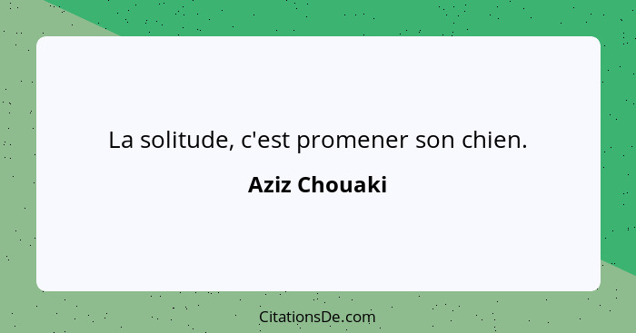 La solitude, c'est promener son chien.... - Aziz Chouaki