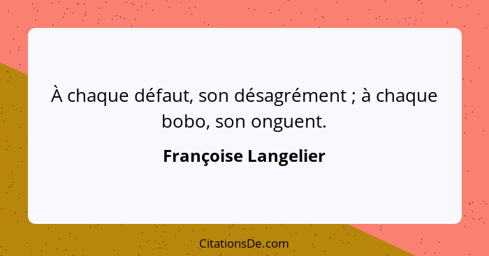 À chaque défaut, son désagrément ; à chaque bobo, son onguent.... - Françoise Langelier